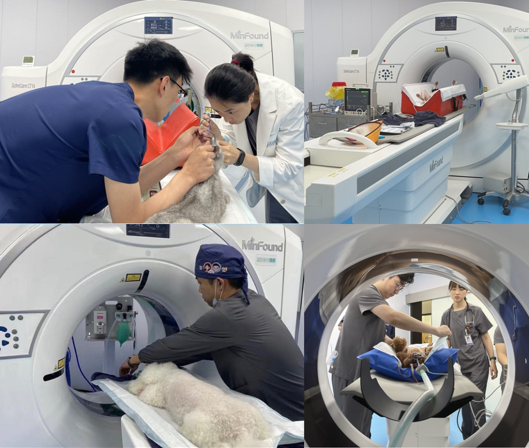 1650961324840957.png 640 (1).png