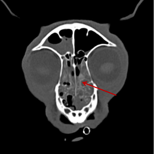 1650961686255896.png 111.png